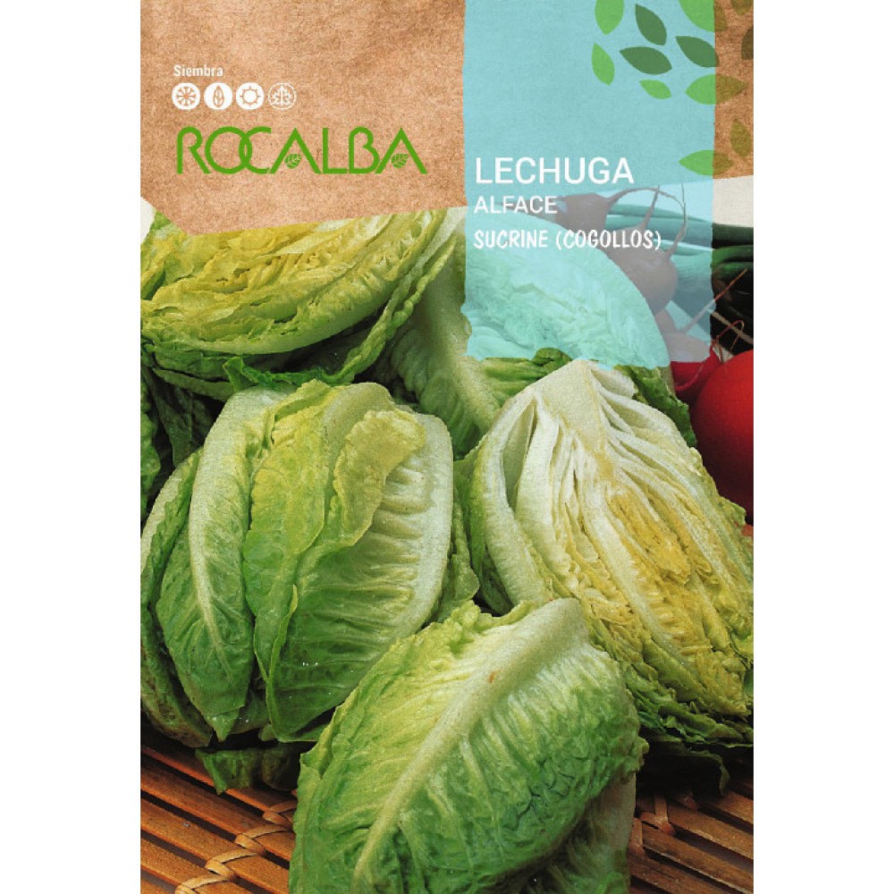 S.ALFACE ROCALBA SUCRINE