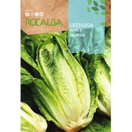 S.ALFACE ROCALBA ROMANA VALLADOLID  - CARTEIRA