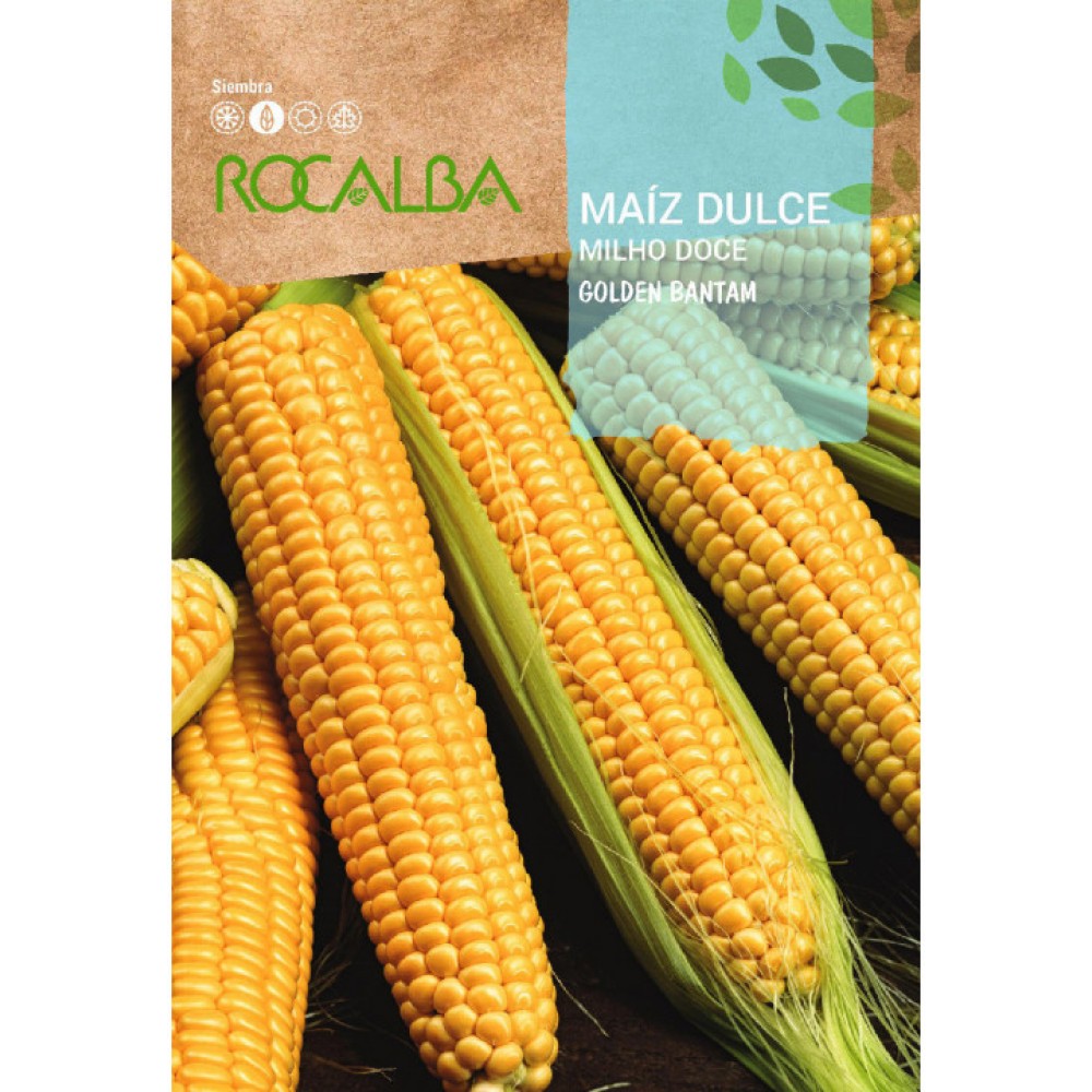S.MILHO DOCE ROCALBA GOLDEN