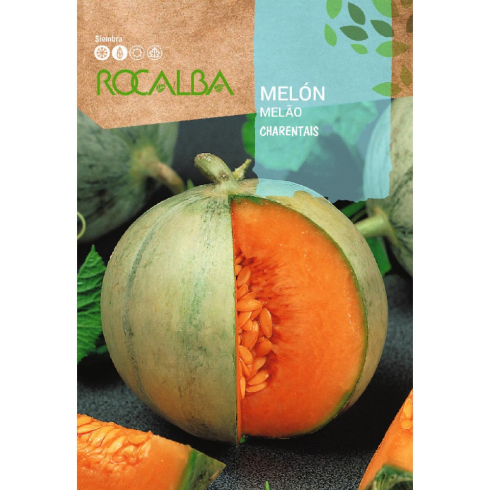 S.MELOA ROCALBA CANTALOUP CHARENTAIS