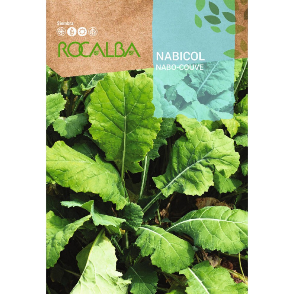 S.COUVE NABIÇA ROCALBA