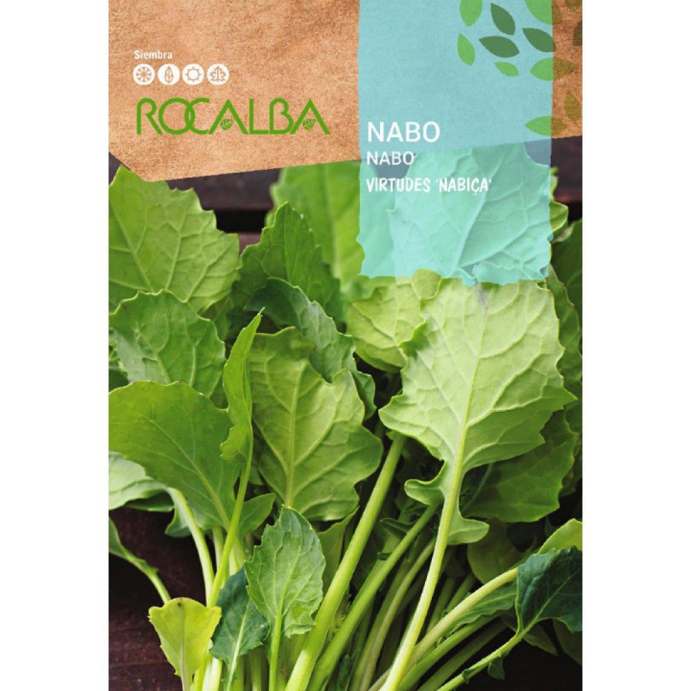 S.NABIÇAS ROCALBA DE RAMA