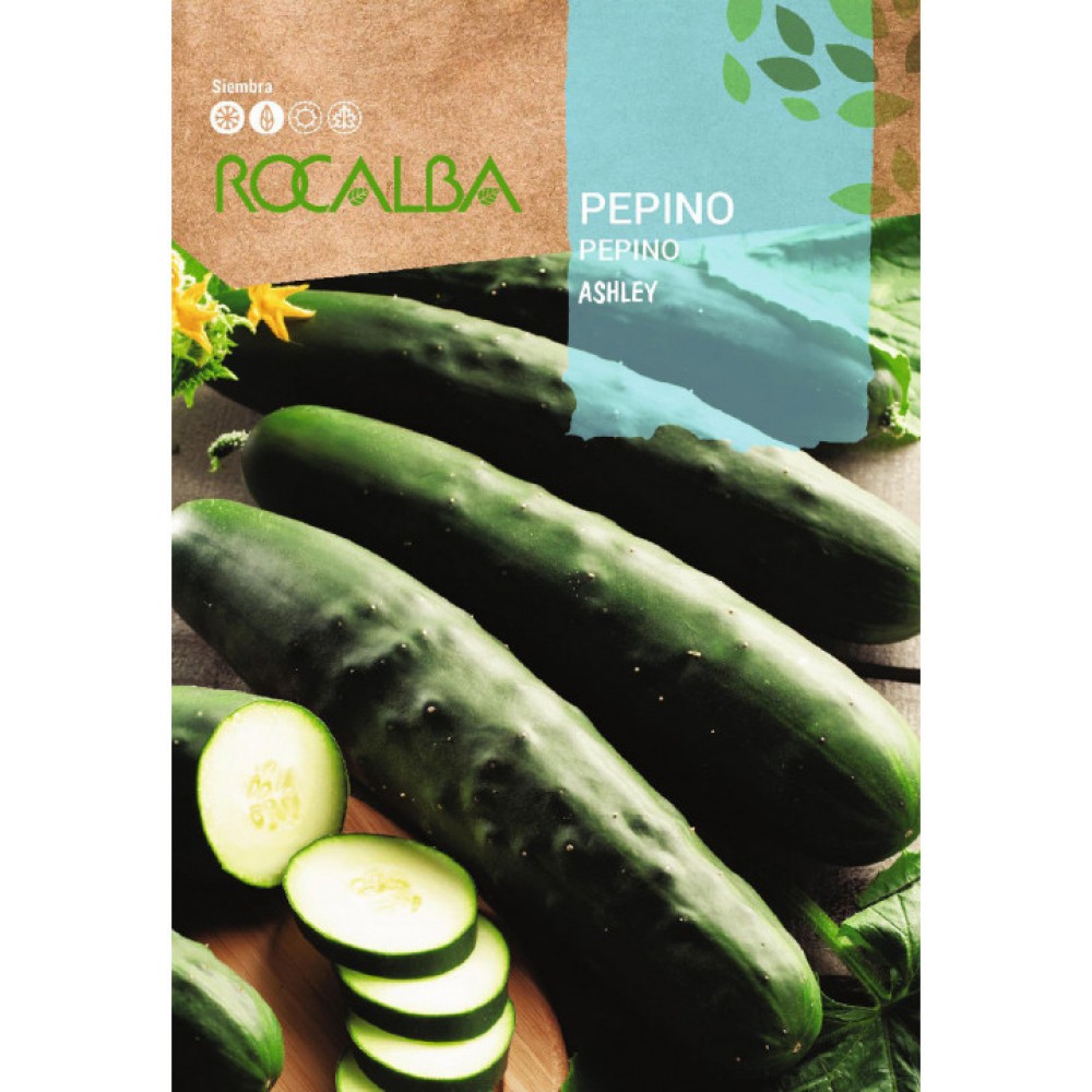 S.PEPINO ROCALBA ASHLEY - 100 GRAMAS