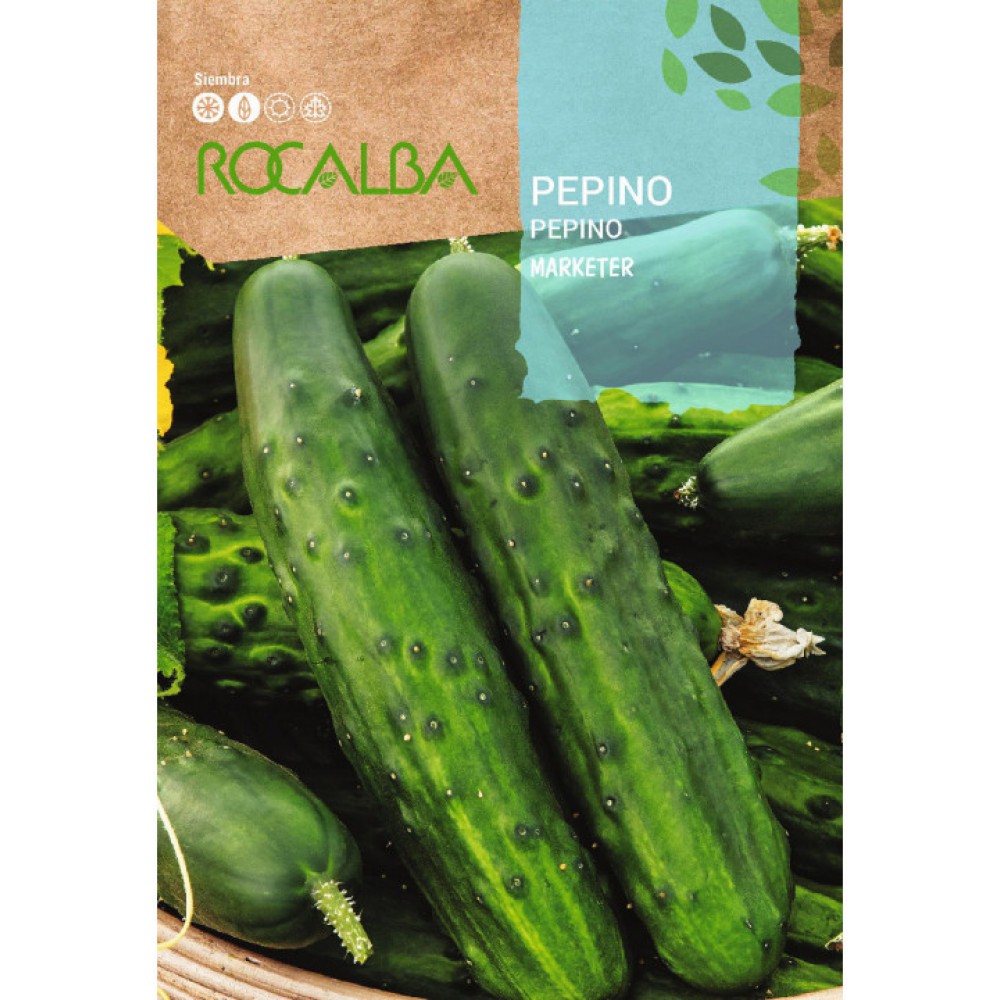 S.PEPINO ROCALBA MARKETER 1/2 COMPRIDO
