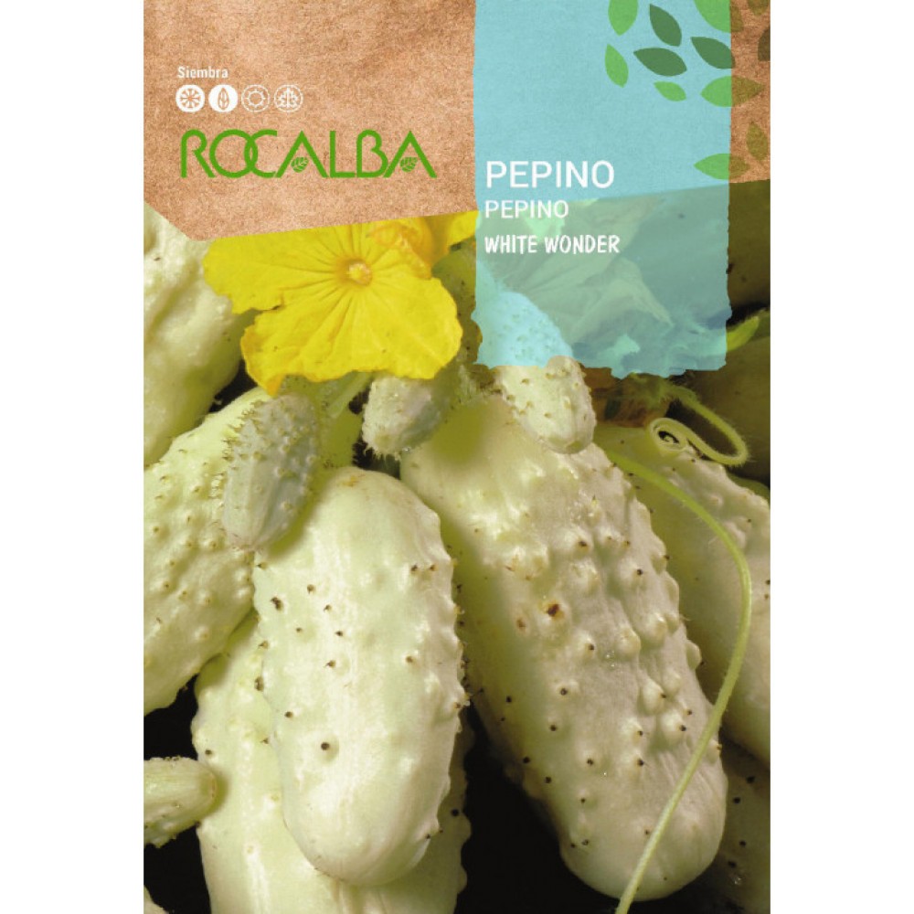 S.PEPINO ROCALBA WHITE WONDER