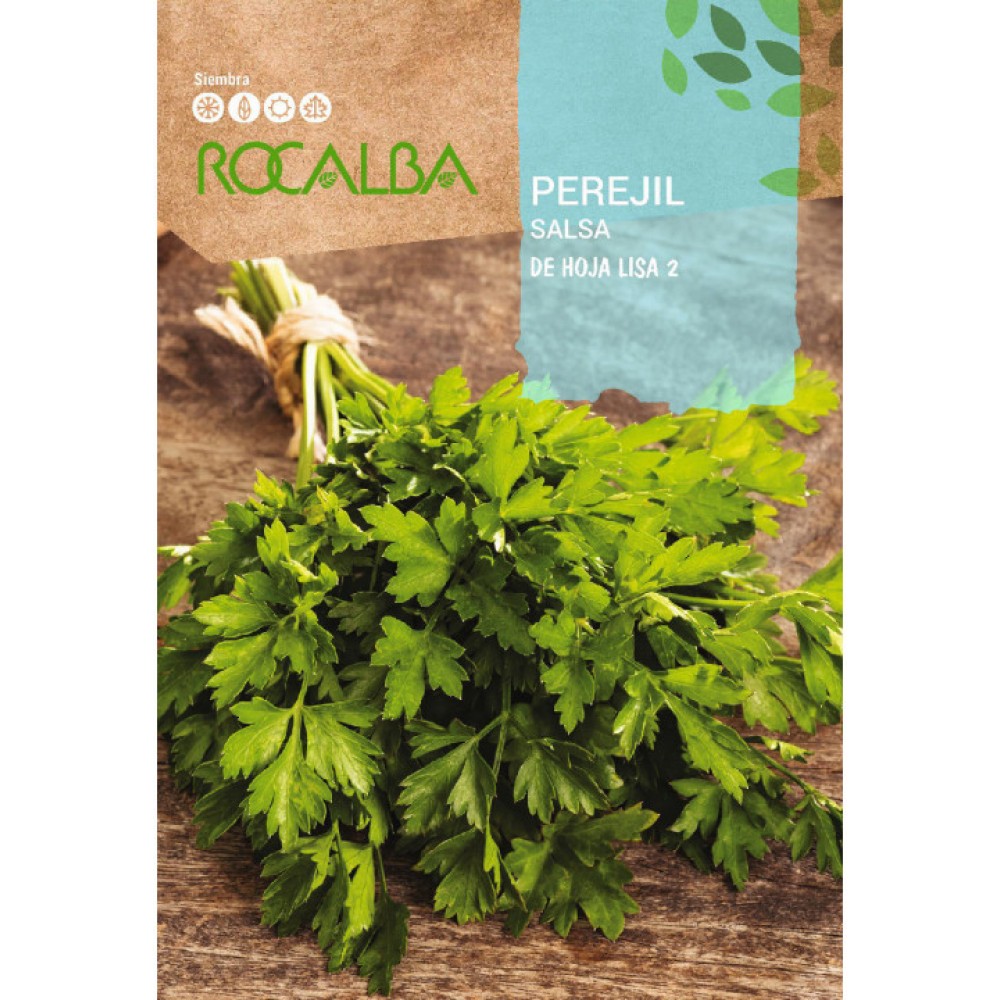S.SALSA ROCALBA DE FOLHA LISA