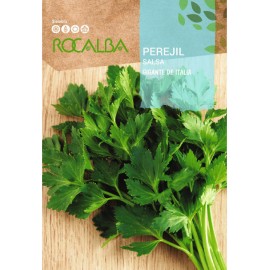 S.SALSA ROCALBA GIGANTE DE ITALIA