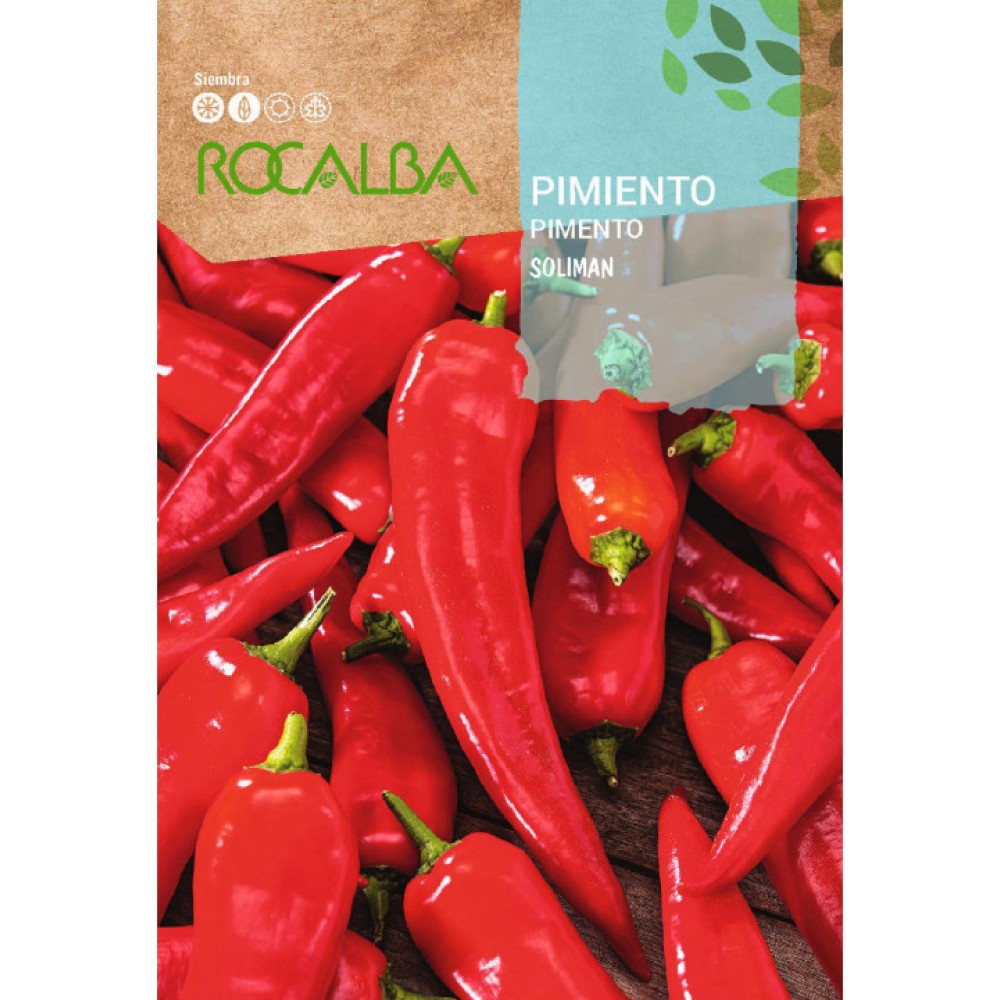 S.PIMENTO ROCALBA SOLIMAN
