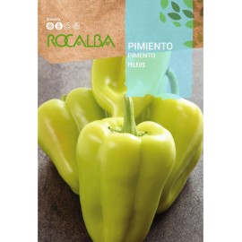 S.PIMENTO ROCALBA OIMBRA