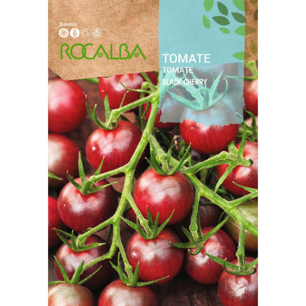 S.TOMATE ROCALBA BLACK CHERRY