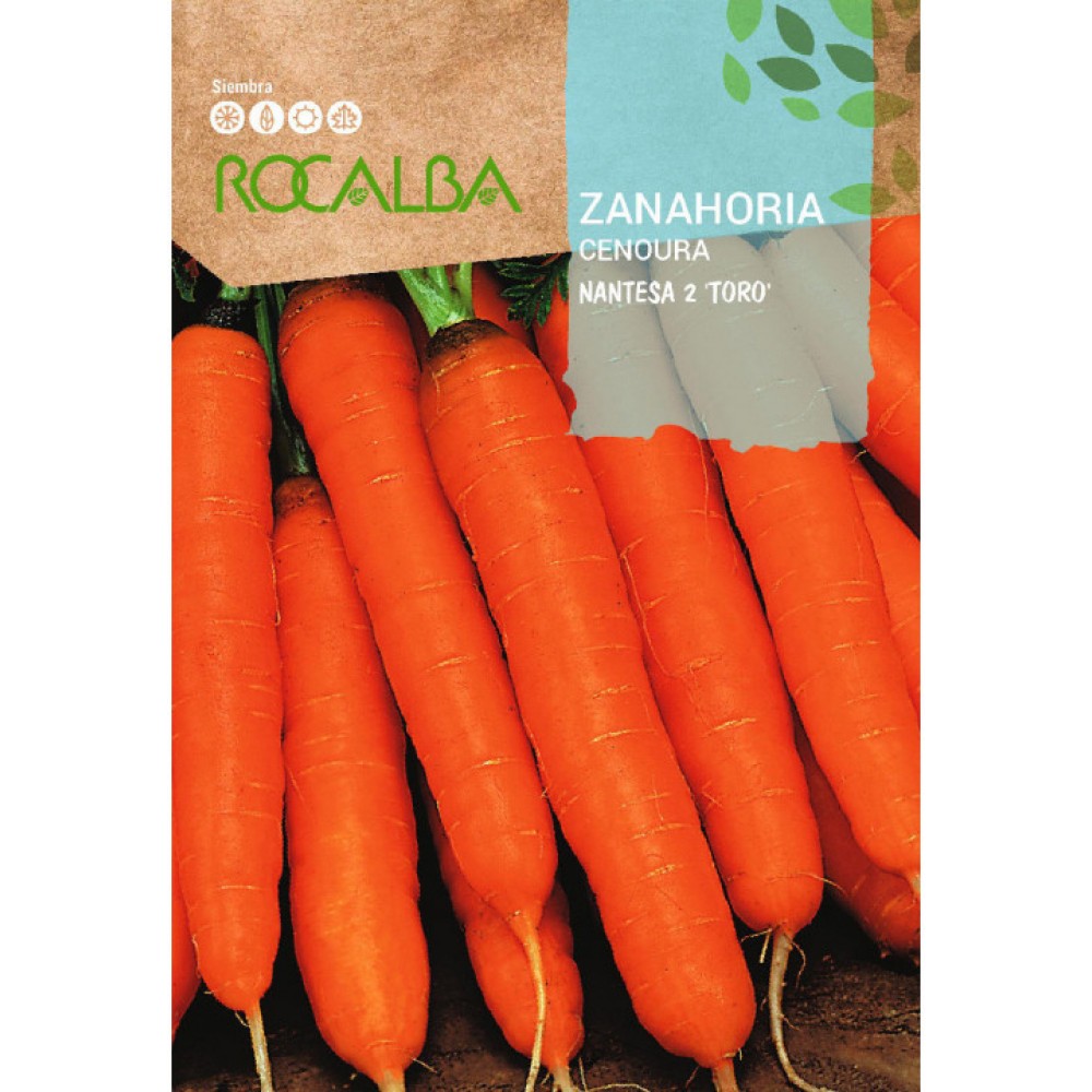 S.CENOURA ROCALBA NANTESA "TOURO"