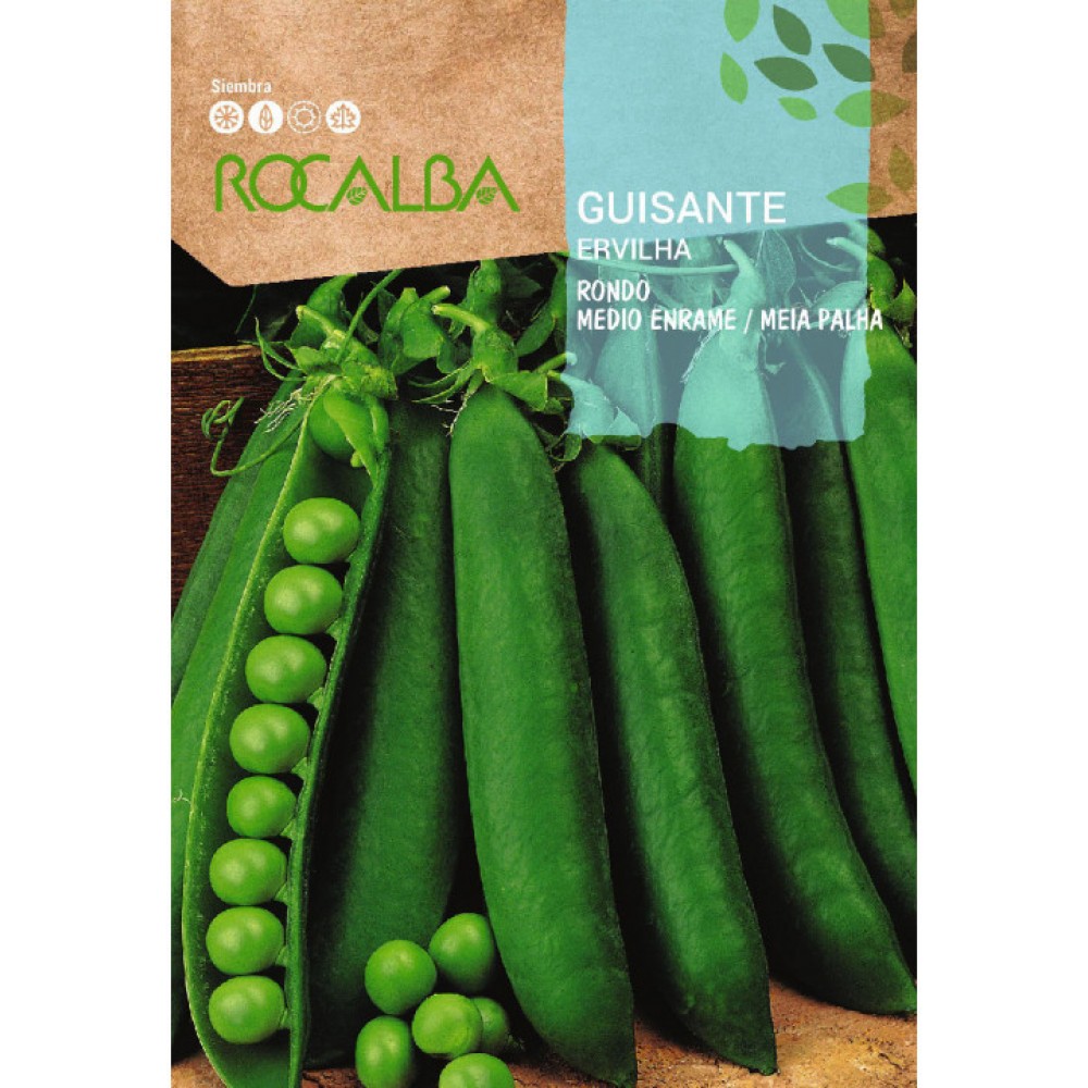 SEMENTE ERVILHA GRAO 1/2 ESTACA RONDO   - 70GR