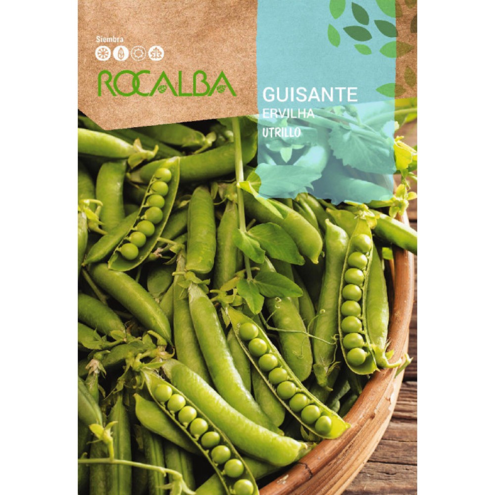 S.ERVILHA GRAO ROCALBA UTRILLO -70GR