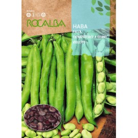 S.FAVA ROCALBA EXTRA TEMPORA      - 50GR