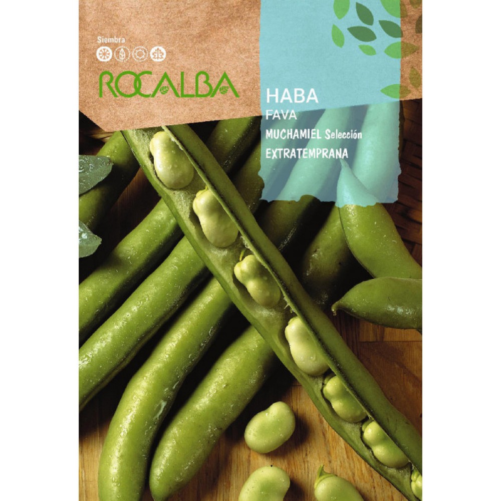 S.FAVA ROCALBA MUCHAMEL EXTRATEMPRANA