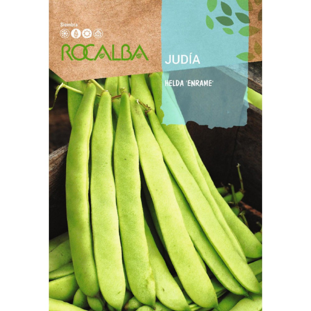 S.FEIJAO VAGEM ESTACA HELDA   - 30GR