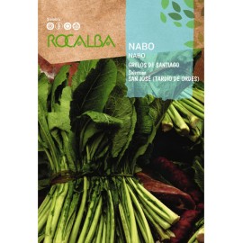 S.GRELOS ROCALBA DE SAO JOSE