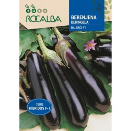 S.BERINGELA ROCALBA HIBRIDA F-1 BALUROI