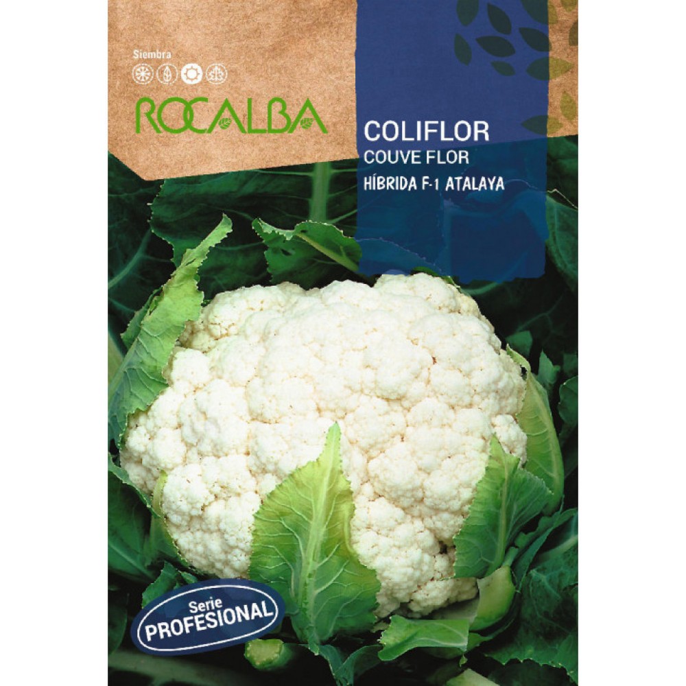 S.COUVE FLOR ROCALBA PROF.F-1 ATALAYA - 30 SEMENTES