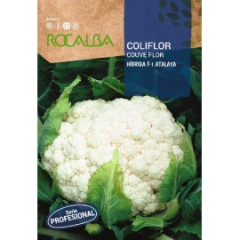 S.COUVE FLOR ROCALBA PROF.F-1 ATALAYA - 30 SEMENTES