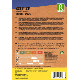 S.COUVE FLOR ROCALBA PROF.F-1 ATALAYA - 30 SEMENTES