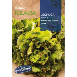 S.ALFACE ROCALBA PROF.MARAVILHA DE VERAO