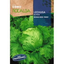 S.ALFACE ROCALBA PROF.BATAVIA RUBIA
