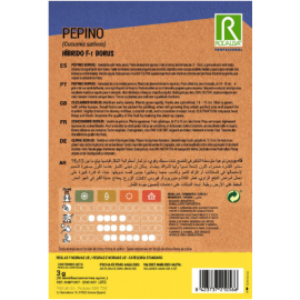 S.PEPINO ROCALBA PROF.F-1 BORUS