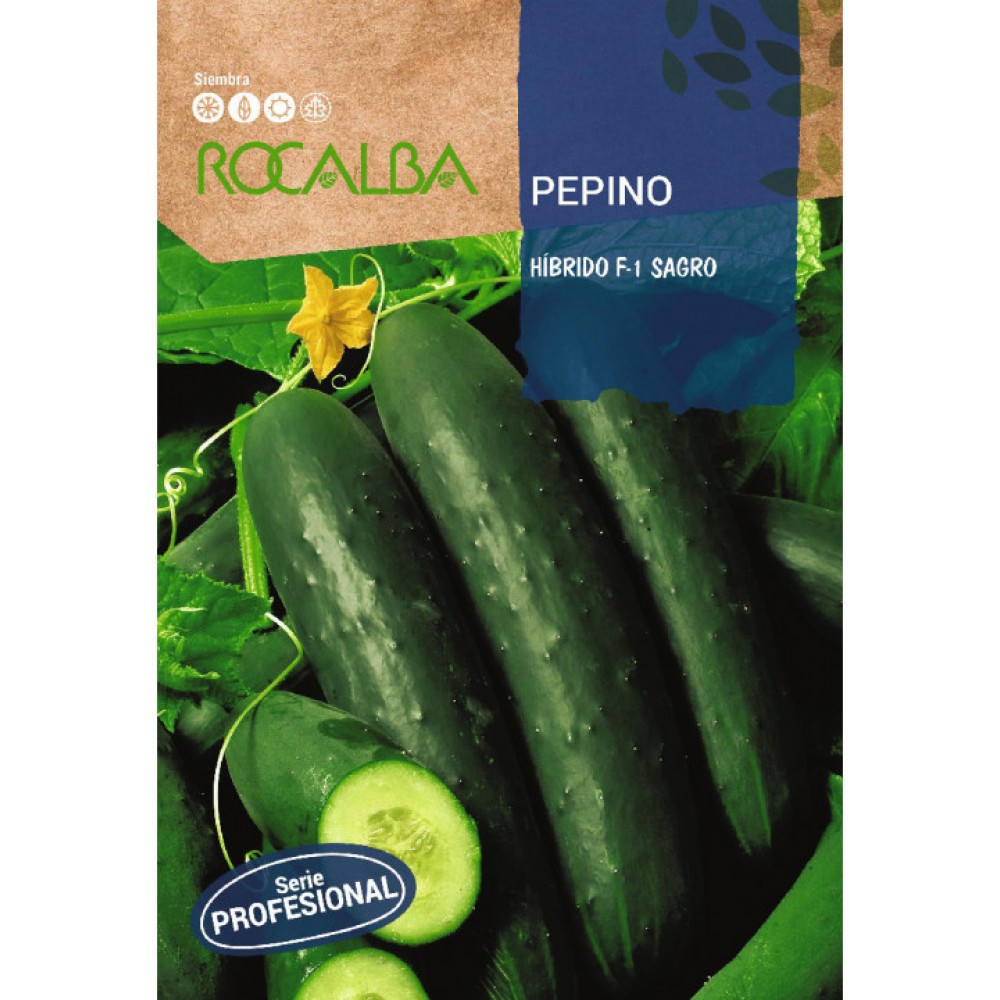 S.PEPINO ROCALBA PROF.F-1 BORUS