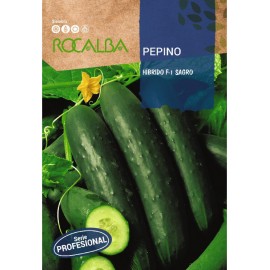 S.PEPINO ROCALBA PROF.F-1 BORUS
