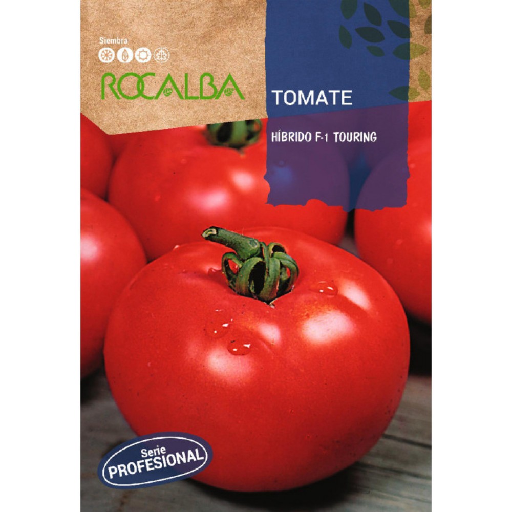 S.TOMATE ROCALBA PROF.F-1 TOURING