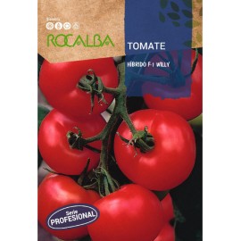 S.TOMATE ROCALBA PROF.F-1 WILLY