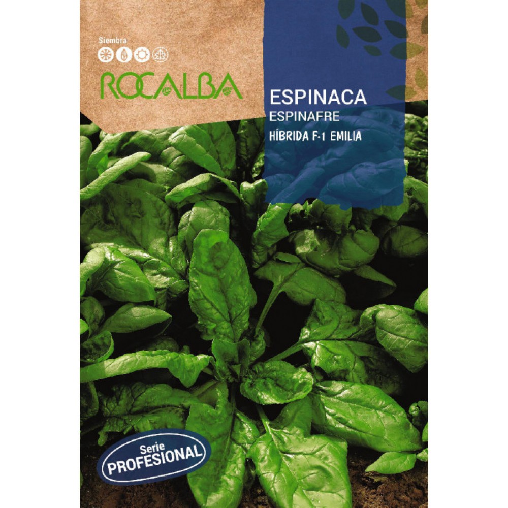 S.ESPINAFRES ROCALBA PROF.F-1 EMILIA