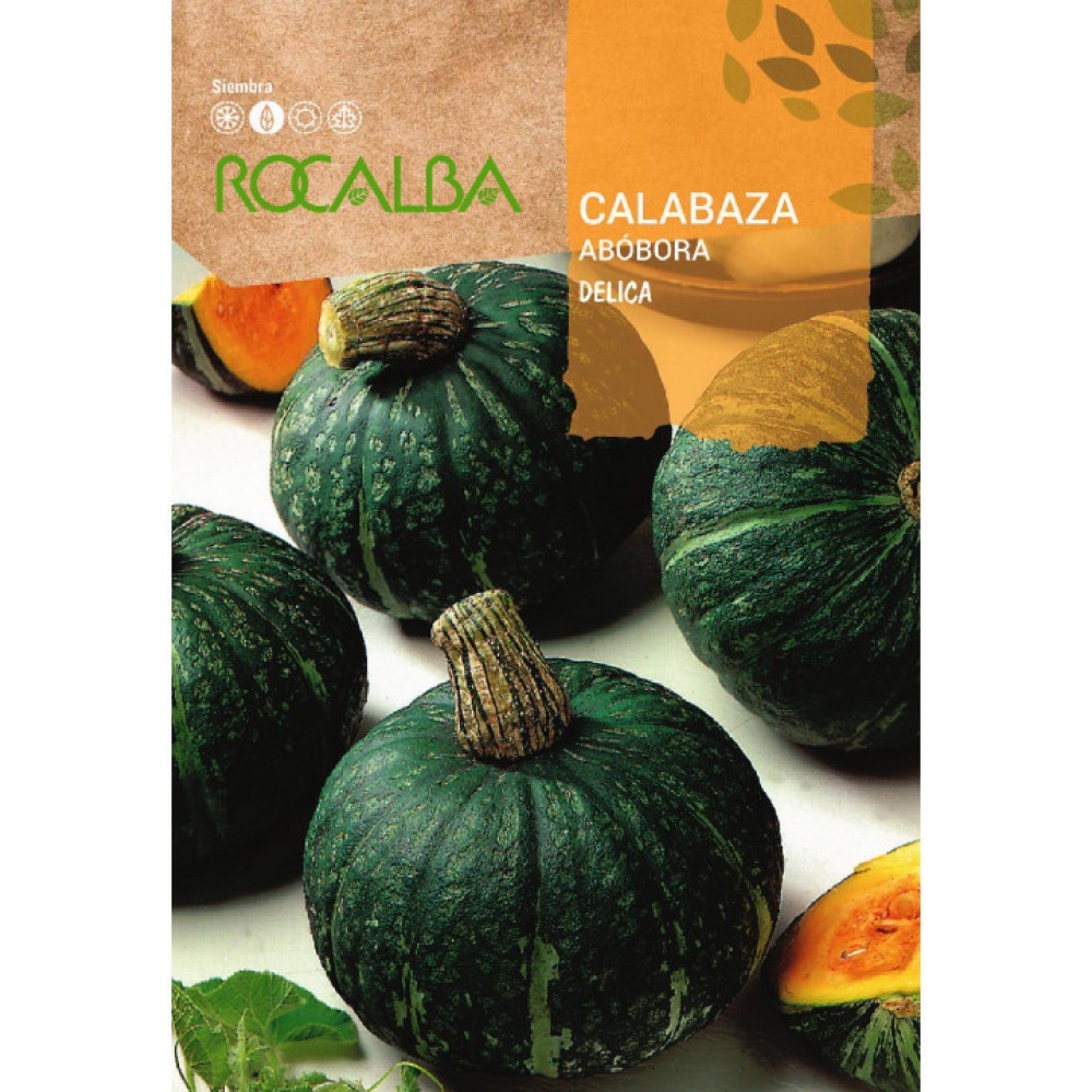 S.ABOBORA ROCALBA DELICA