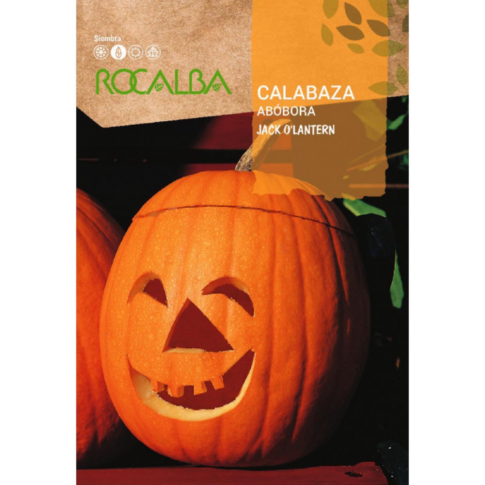 S.ABOBORA ROCALBA JACK O LANTERNA
