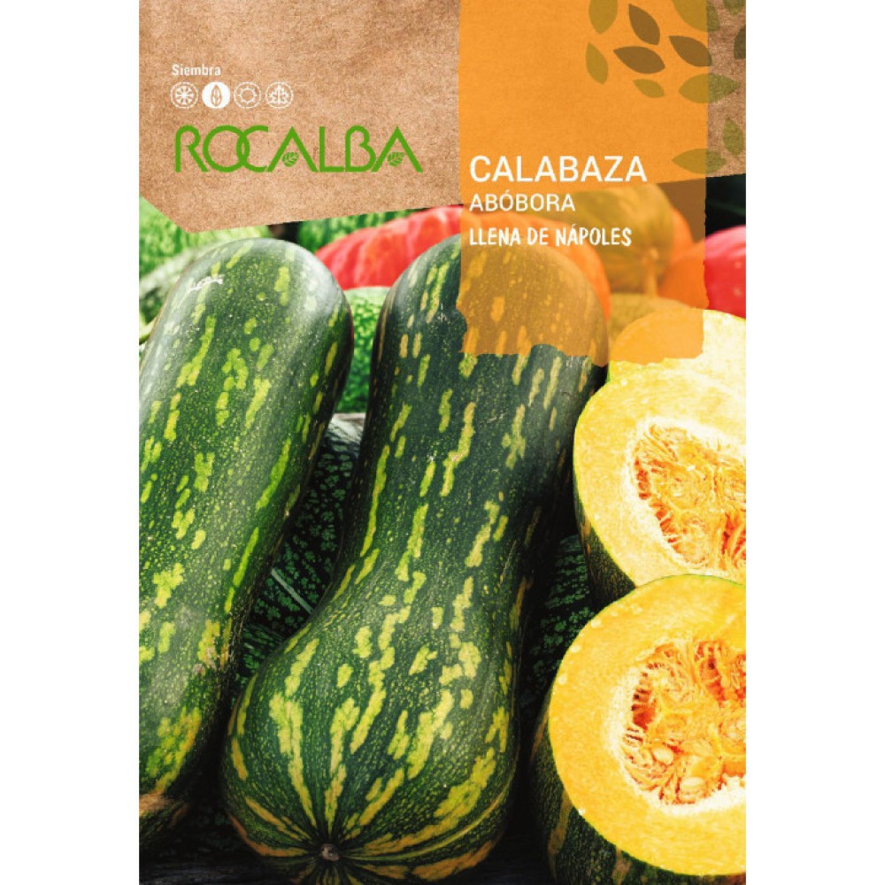 S.ABOBORA ROCALBA CHEIA DE NAPOLES