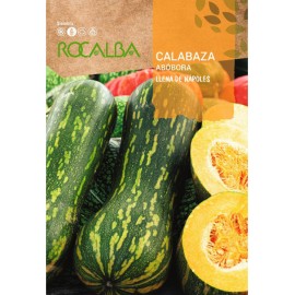 S.ABOBORA ROCALBA CHEIA DE NAPOLES
