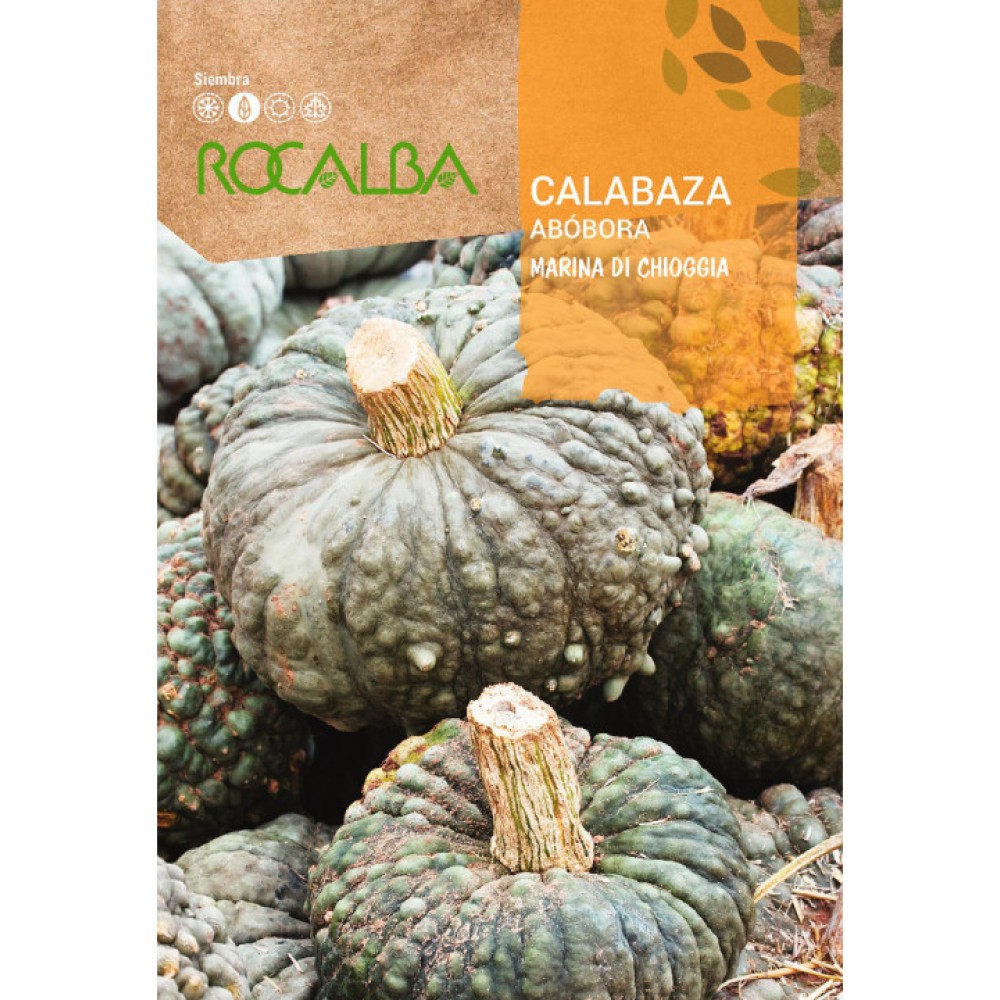 S.ABOBORA ROCALBA MARINA DE CHIOGGIA