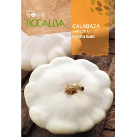 S.ABOBORA ROCALBA PATISSON BLANC
