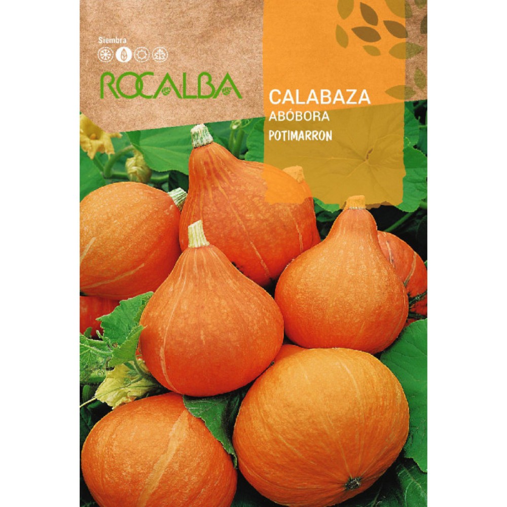 S.ABOBORA ROCALBA POTIMARRON UCHIKI KURI