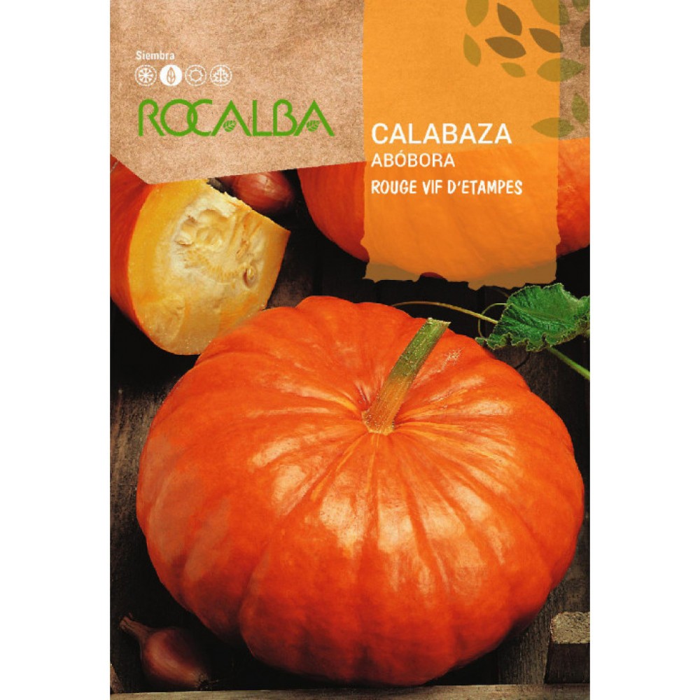 S.ABOBORA ROCALBA ROUGEVIF DETAMPES