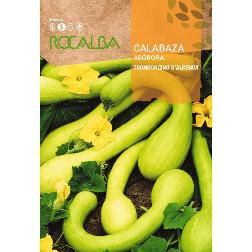 S.ABOBORA ROCALBA TROMBONCINO DE ALGENGA