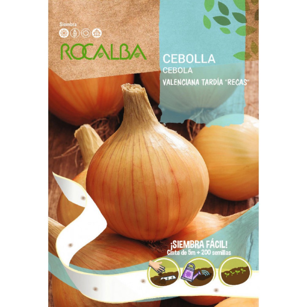 S.CEBOLA EM CINTA ROCALBA VALENCIANA TARDIA RECAS