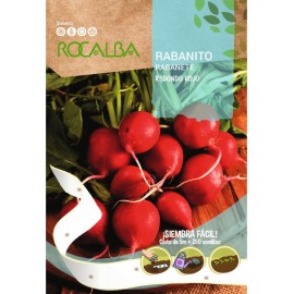 S.RABANETE EM CINTA ROCALBA REDONDO