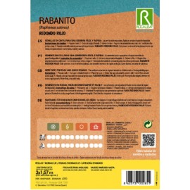 S.RABANETE EM CINTA ROCALBA REDONDO