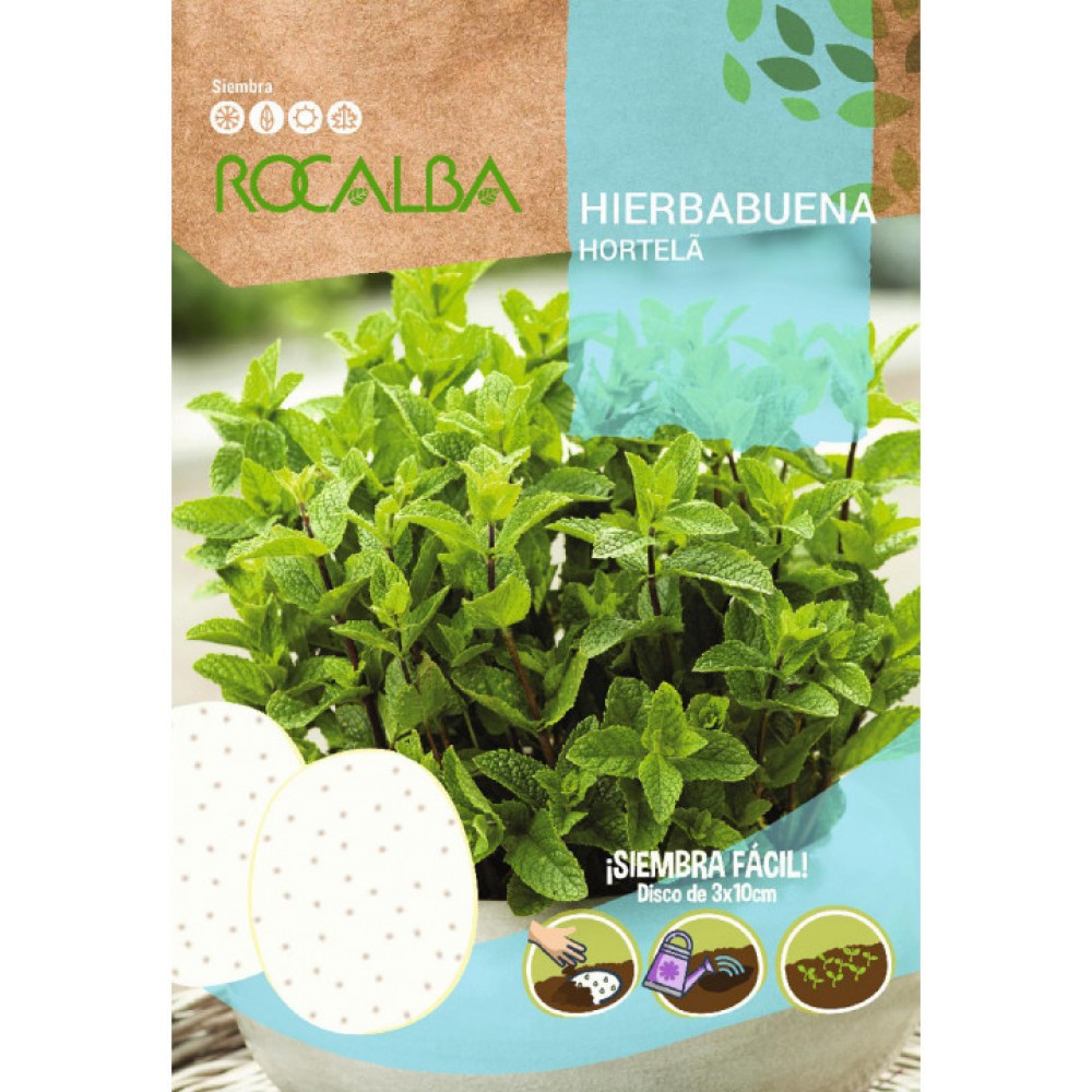 S.HORTELA EM DISCOS ROCALBA