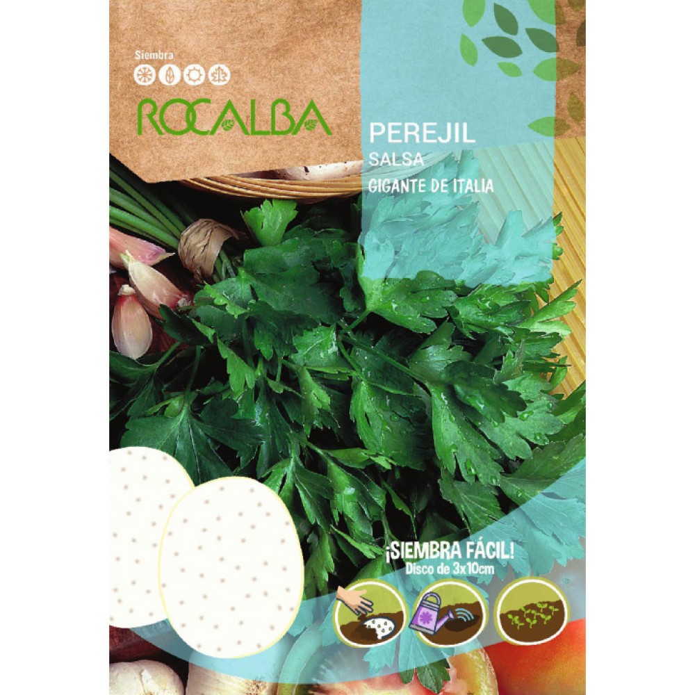 S.SALSA EM DISCOS ROCALBA GIGANTE DE ITALIA