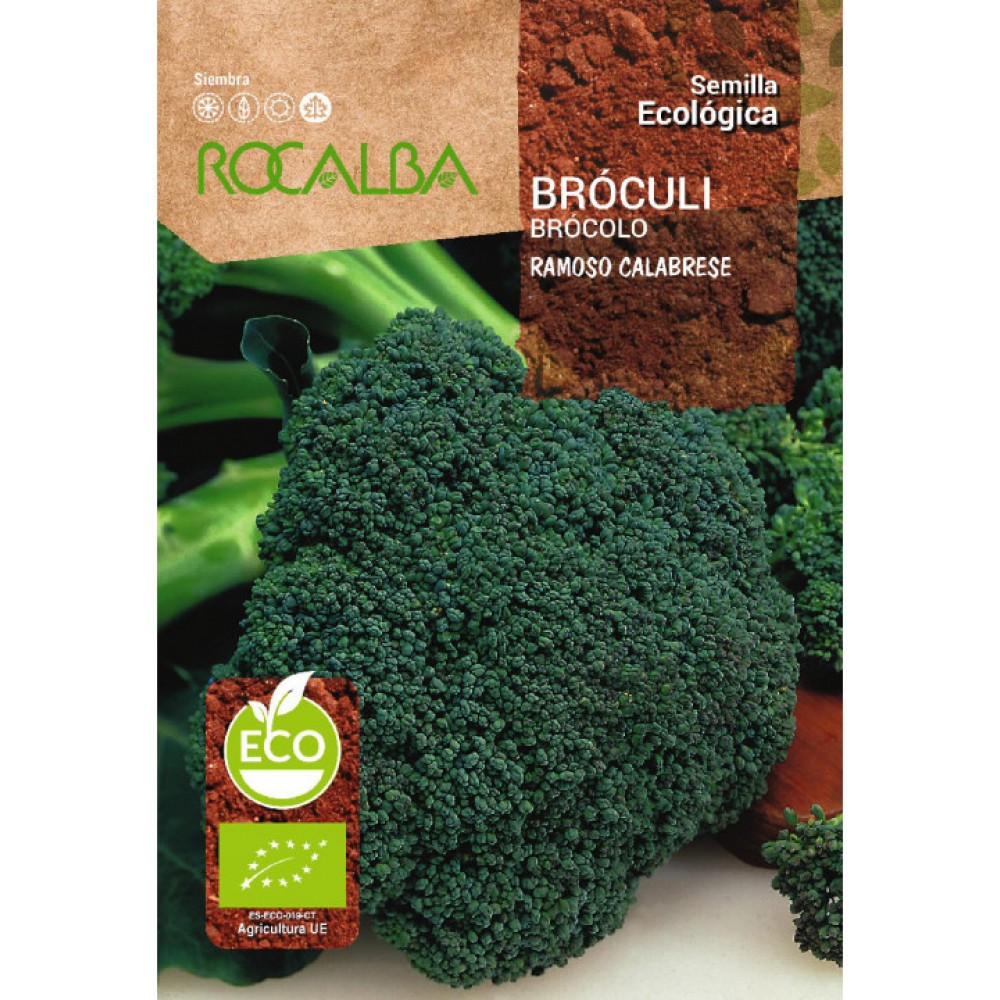 S.BIO ROCALBA BROCOLO VERDE CALABRES