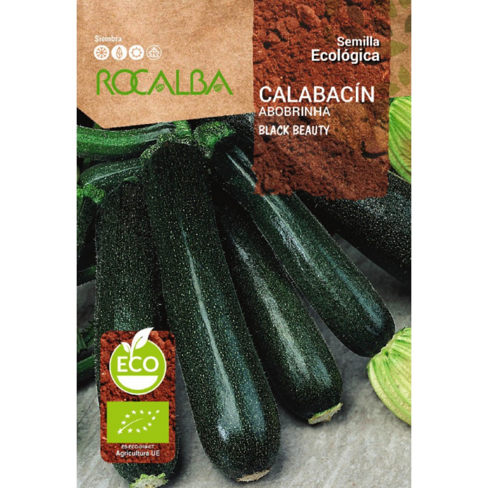S.BIO ROCALBA COURGETTE BLACK BEAUTY