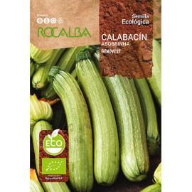 S.BIO ROCALBA COURGETTE GENOVESE